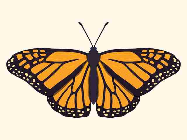 暗网禁地入口深度解析·匿名金融快报