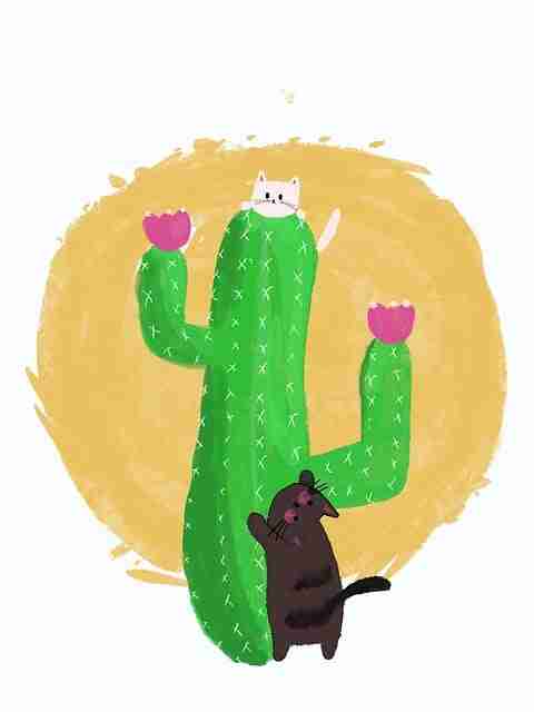 互动玩法《榴莲社区app》品牌联名全解（214 ）