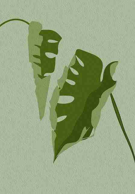 增长黑客《海角网页版》变现秘籍独家档案